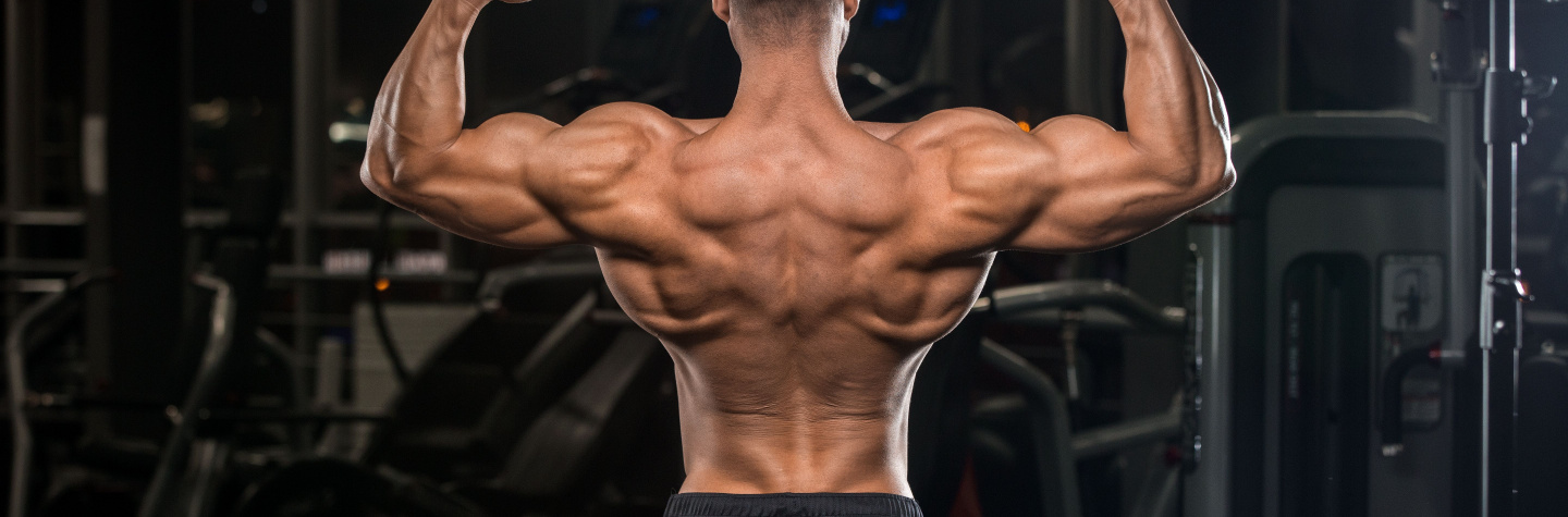 Fem &oslash;velser til en bredere ryg